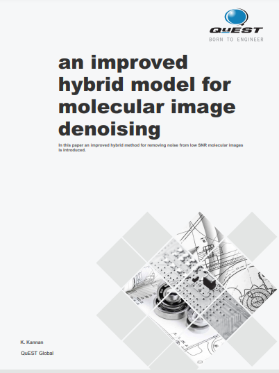 Improved hybrid model for molecular image denoising